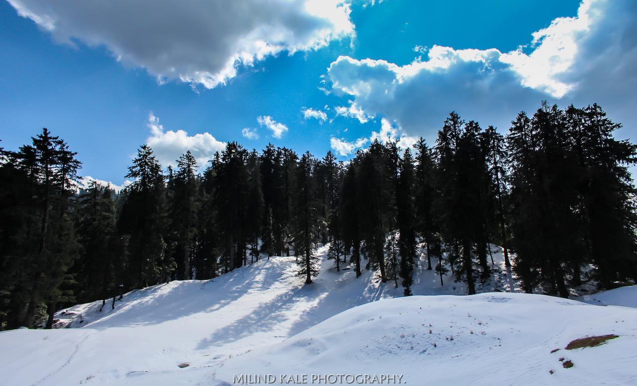Tethys Ski Resort Narkanda Exterior foto